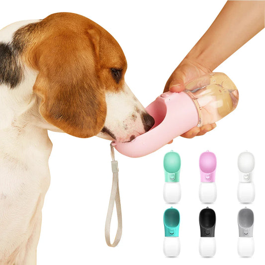 Bouteille Magique pour Chiens