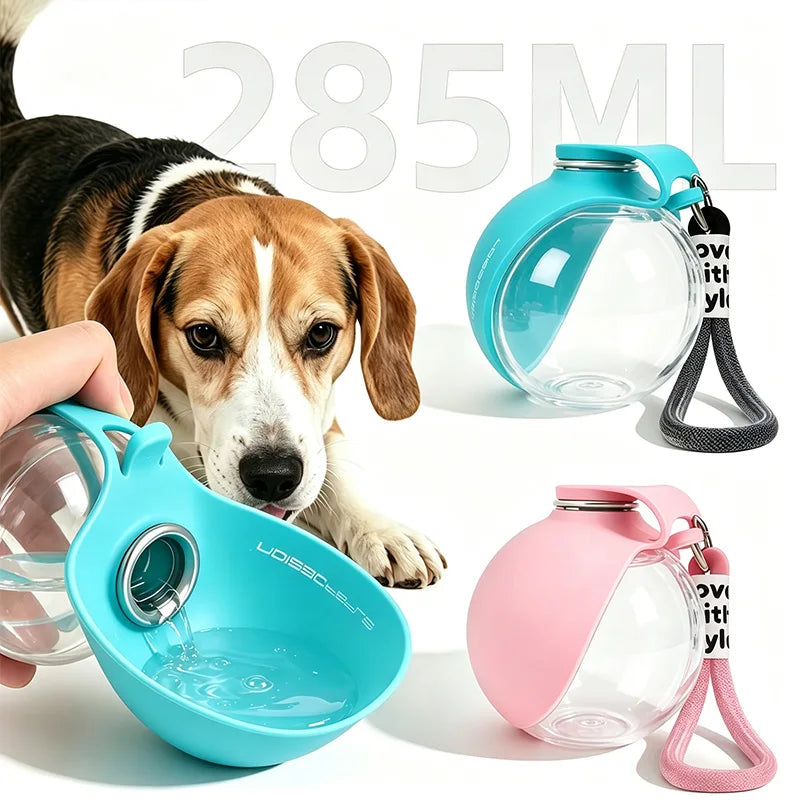 Gourde pour chien portable 2-en-1 en silicone pliable et étanche